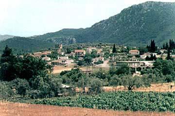 Dafni Kechrion, panoramic view of the village DAFNI KECHRION (Village) CHALKIDA