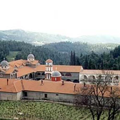Moni Ossiou David Gerontos, the monastery complex, MONI OSSIOU DAVID GERONTOS (Monastery) CHALKIDA