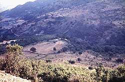Agia Triada Mycenean Cemetery (1400-1100 b.C.) area AGIA TRIADA (Village) ILIA