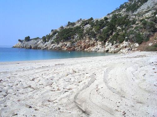 A sandy beach in the Municipality of Kymi area KYMI (Municipality) EVIA