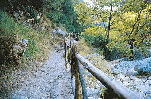 Dimossari canyon, with a safe path, mostly in summertime, which ends to a waterfall DIMOSSARI (Settlement) LEFKADA