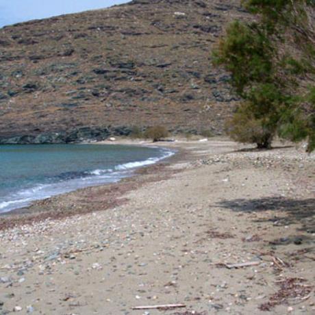 Sykamia seaside, a close-up, SYKAMIA (Settlement) SERIFOS