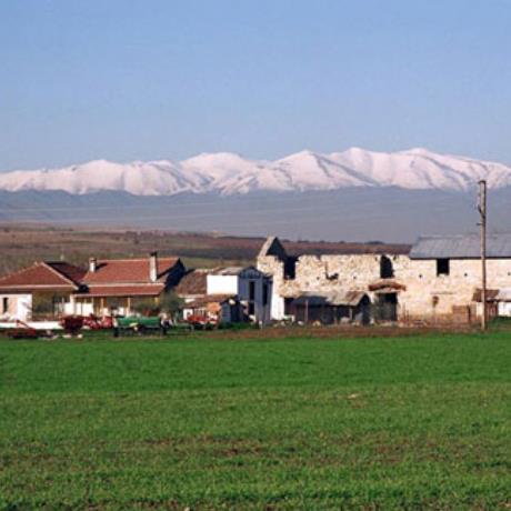 Amygdalia, partial view of the village, AMYGDALIA (Village) LARISSA
