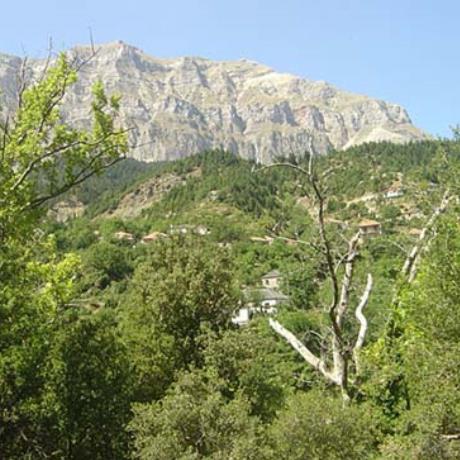 Melissourgi, the houses of the village are spread on a arboraceous slope, MELISSOURGI (Small town) ARTA