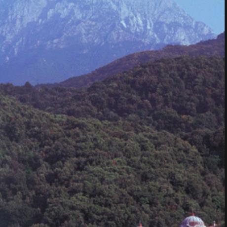 Agion Oros/Mount Athos - the very rich biodiversity is due to the vast variety of its climate & geological formations caused by the bold bas-relief & the penetration into the Aegean Sea, AGION OROS (Mountain) HALKIDIKI