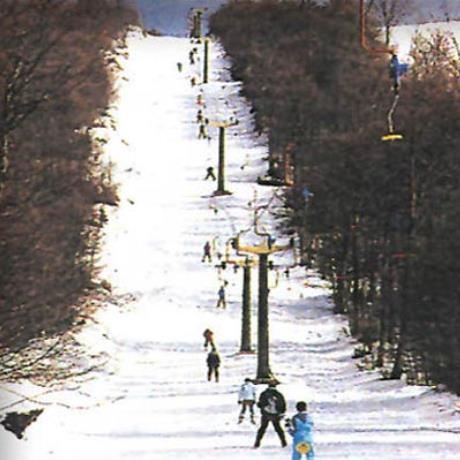 Vitsi, skiers on the slopes, VITSI (Ski centre) KASTORIA