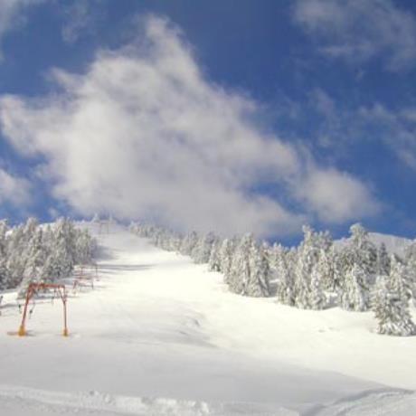 Mainalon ski centre, a snow-white landscape, MAINALON (Ski centre) ARCADIA