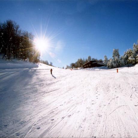 Ski slope, ELATOCHORI (Ski centre) PIERIA