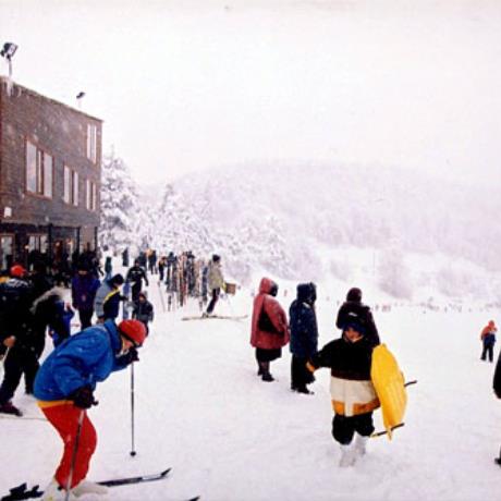 Exterior view of chalet, ELATOCHORI (Ski centre) PIERIA