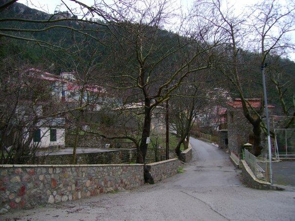 Sykia, Lidoriki SYKIA (Village) LIDORIKI