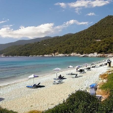 Milia beach, Skopelos, MILIA (Settlement) SKOPELOS