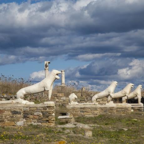 The marble lions, dedicated to Apollo by the Naxians at the end of 7th century BC stand in a row facing eastwards, towards the Sacred Lake., DELOS (Island) KYKLADES