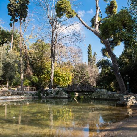 A small lake in National Gardens, NATIONAL GARDENS (Park) ATHENS