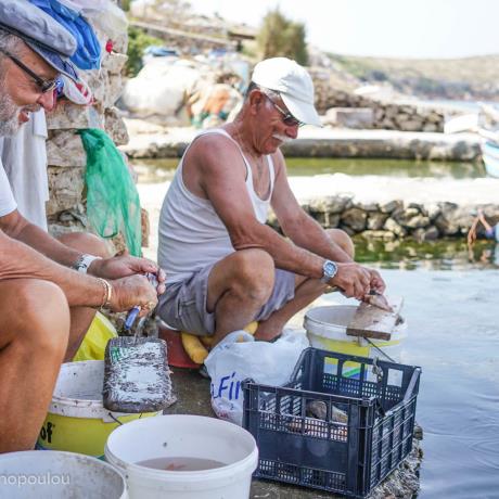 Fishermen enjoying cleaning the fishes, ARKI (Island) DODEKANISSOS