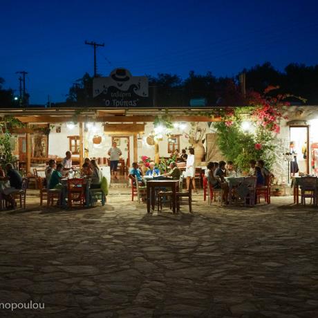 Trypas Tavern at the port of Arki, ARKI (Island) DODEKANISSOS