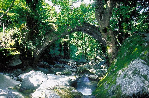 Old stone bridge XORYCHTI (Village) ZAGORA-MOURESI