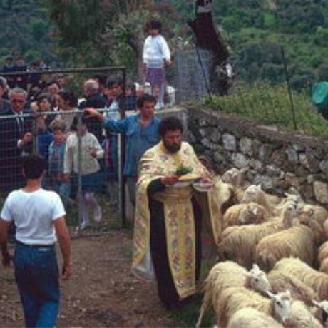 The priest blesses the animals, the milk, and the shepherds in the celebration, Asigonia, ASSI GONIA (Village) CHANIA