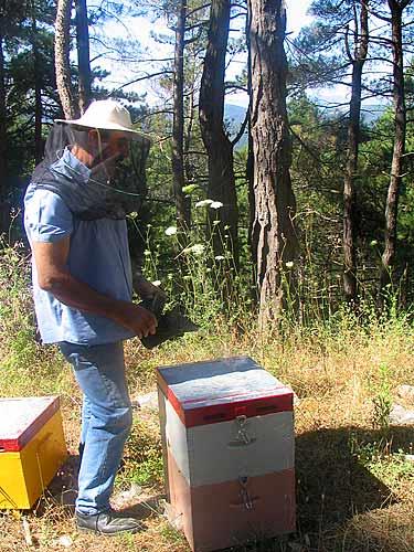 Honey producer SKYRITIDA (Municipality) ARCADIA