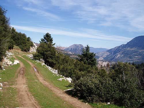 Scenic road through the hills GRAVIA (Municipality) PARNASSOS
