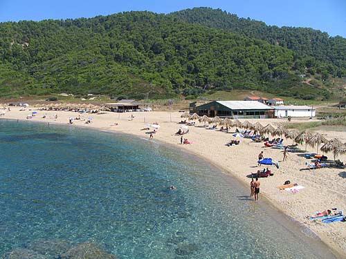 View to the beach ASSELINOS (Beach) SKIATHOS