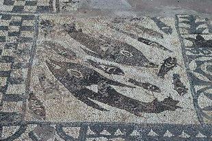 Mosaic floor in the basilica of Elounda ELOUNDA (Small town) LASSITHI
