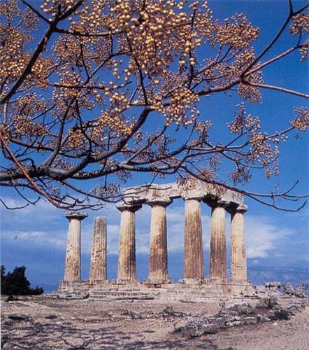 Corinth, ancient temble KORINTHOS (Ancient city) PELOPONNISOS