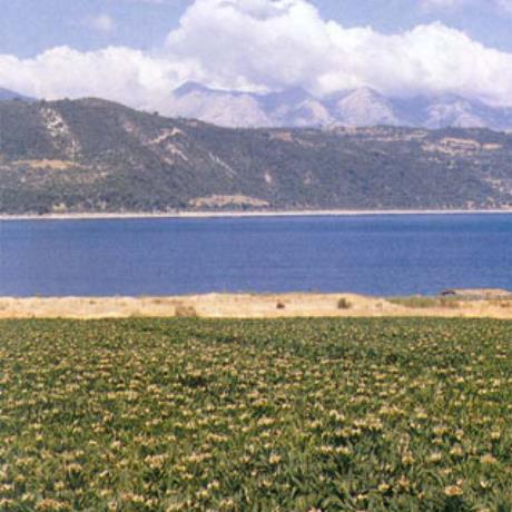 Amvrakia Lake, AMVRAKIA (Lake) ETOLOAKARNANIA