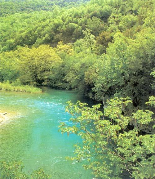 The Voidomati river  VOIDOMATIS (River) KONITSA