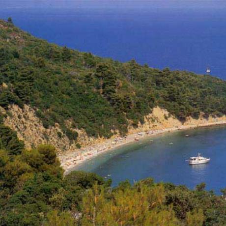 Skopelos, sandy cove in the entrance of a pine-clad hill , SKOPELOS (Island) NORTH SPORADES