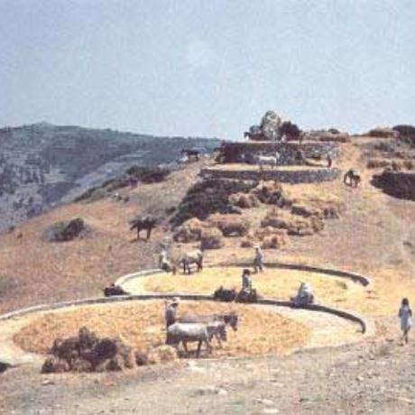 Alonissos, agricultural activities of the '70s, ALONISSOS (Island) NORTH SPORADES