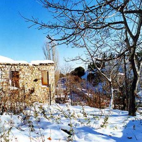 Seta, a winter landscape of exquisite beaury, SETA (Village) CHALKIDA