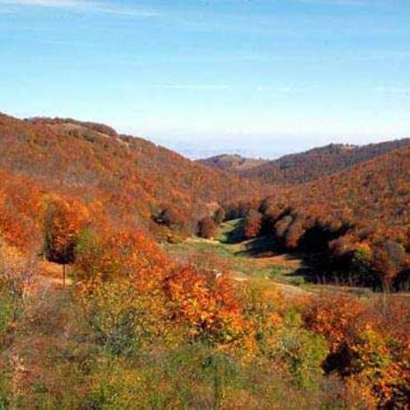 An Autumn landscape, FLORINA (Prefecture) GREECE