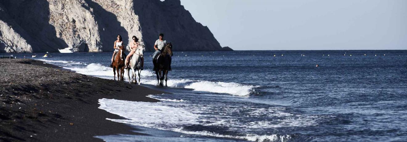 Horseback riding
