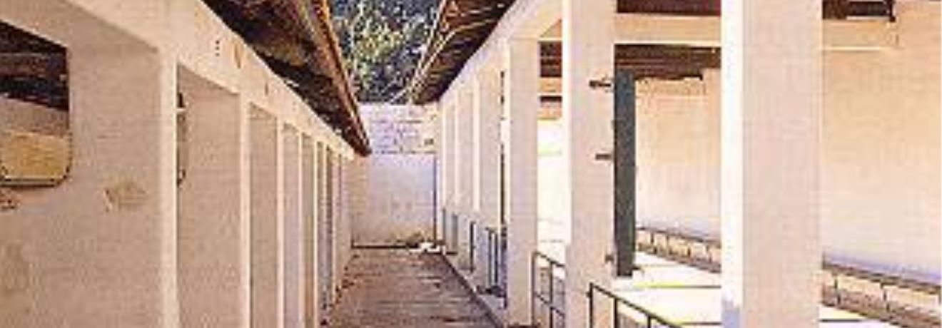 Kessariani, Shooting Gallery
