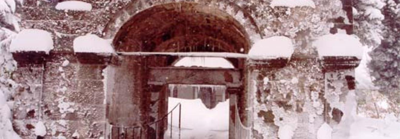 Vaulted entrance of a building