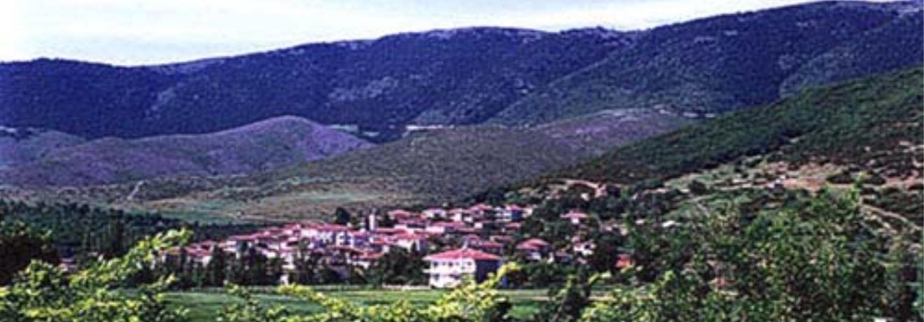 View of the village