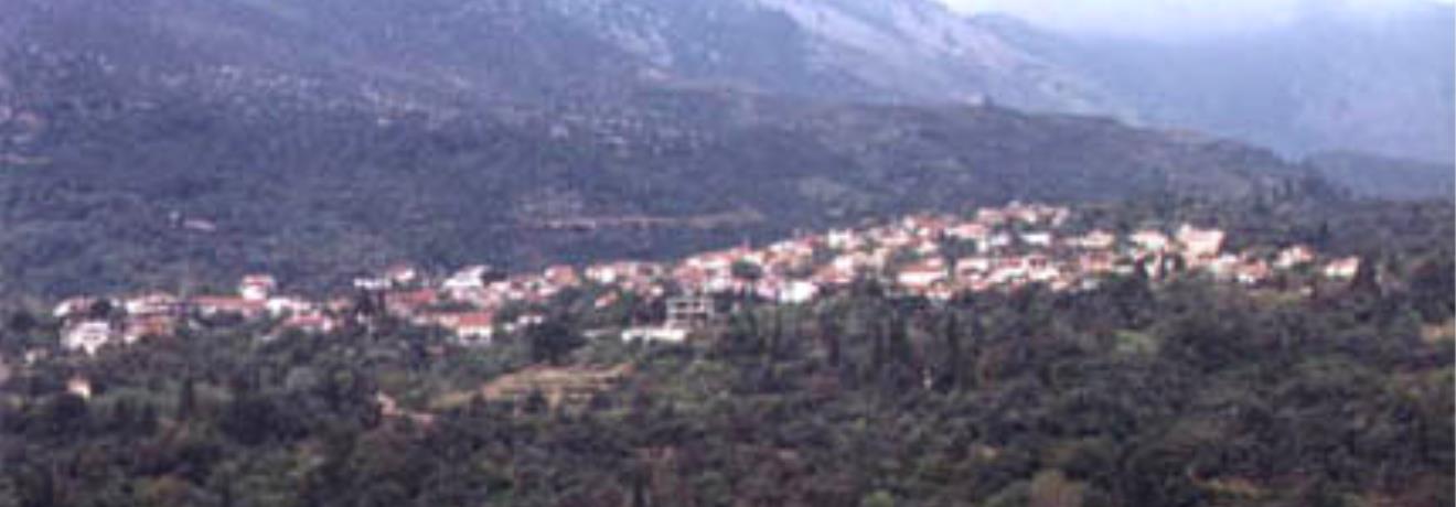 Panoramic view