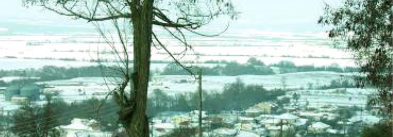View of the village