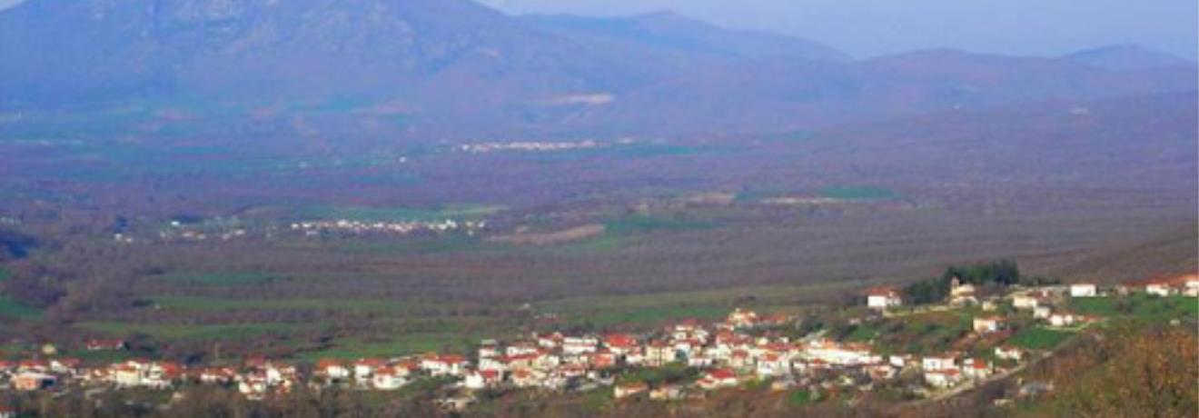 Panoramic view