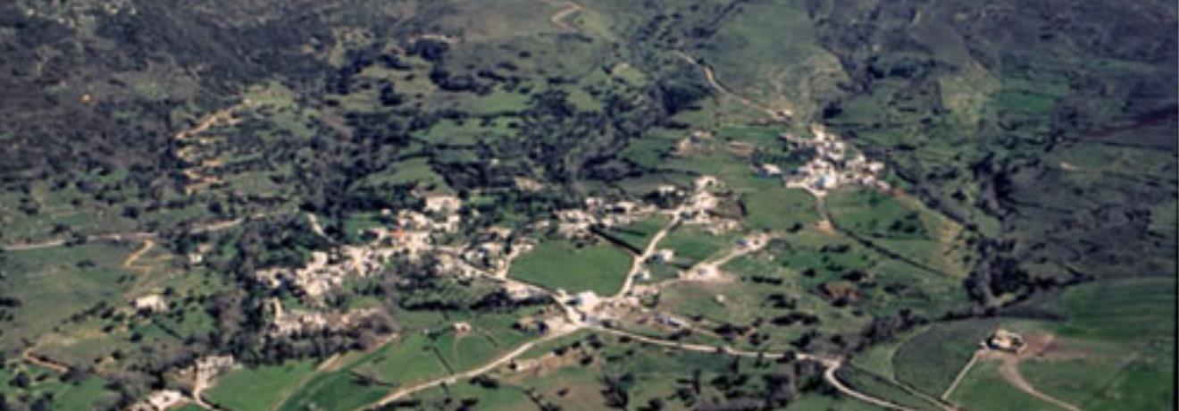 Aerial photo