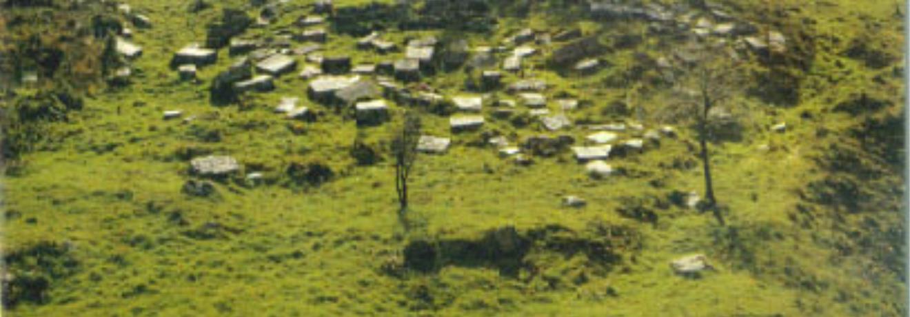 Temple of Despoina - The Megaron (Altar), Lycossoura