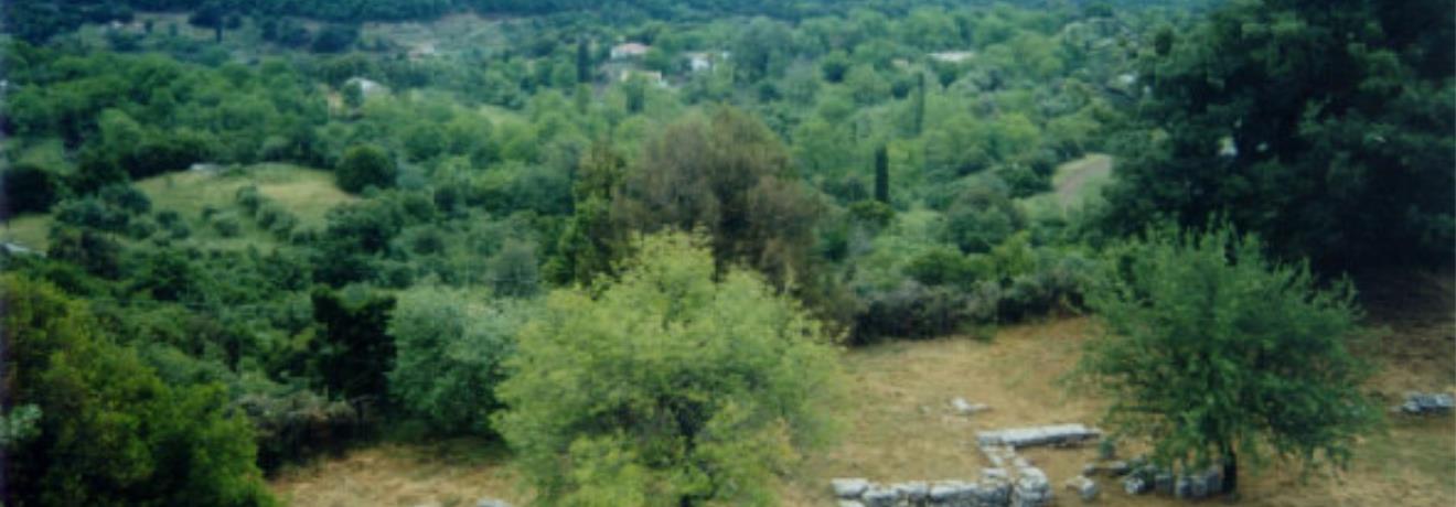 Temple of Despoina - Lycossoura