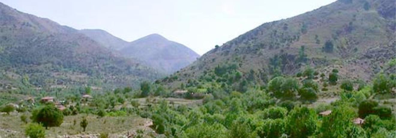 View to Tripotama with visible ruins of the city - Ancient Psophis