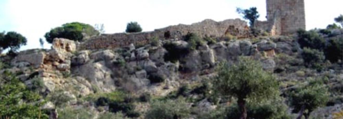 Part of the walls of the castle