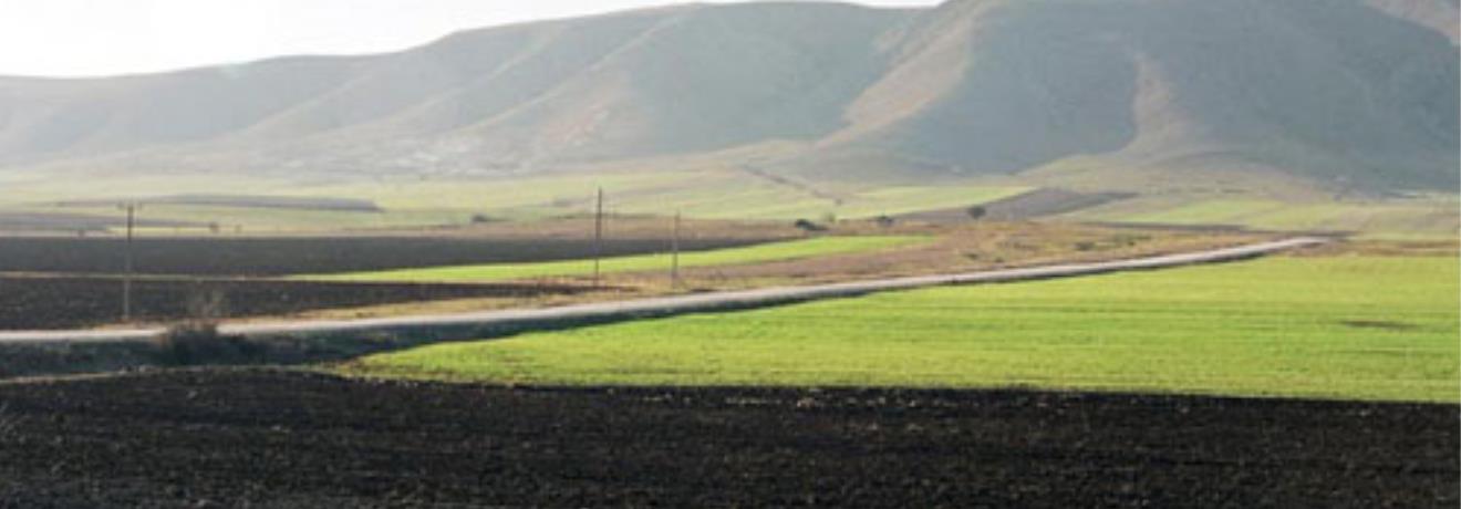 Plain at the foot of the mountain