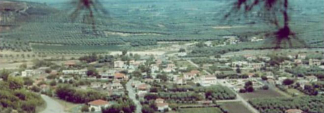 Panoramic view of the village