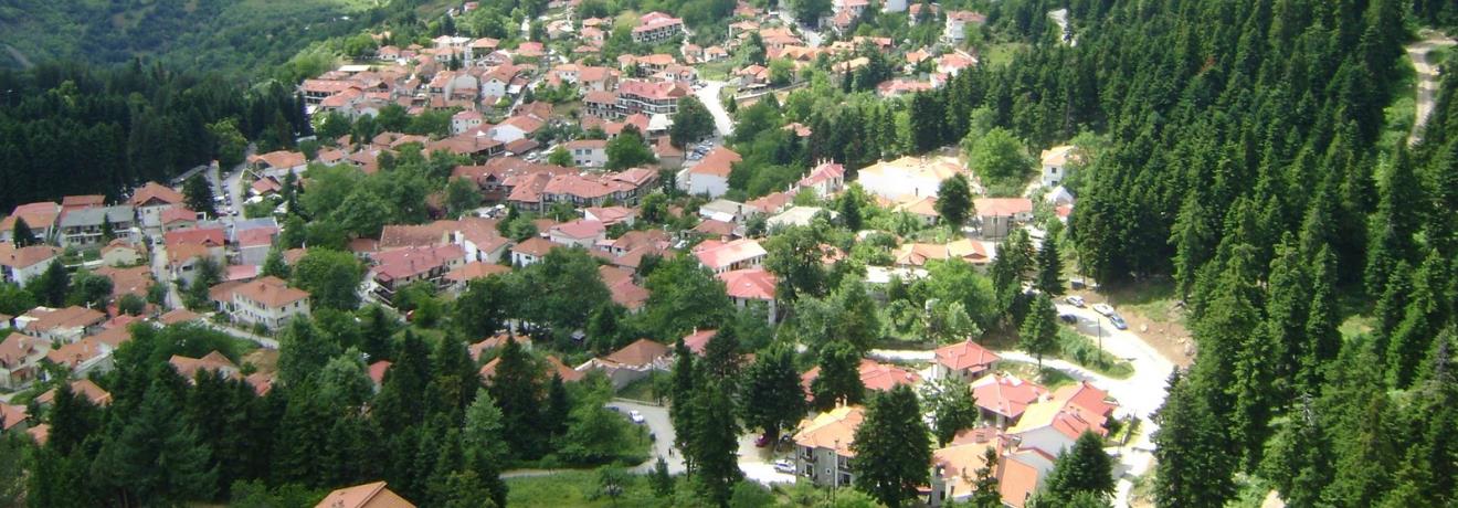 Ελάτη
