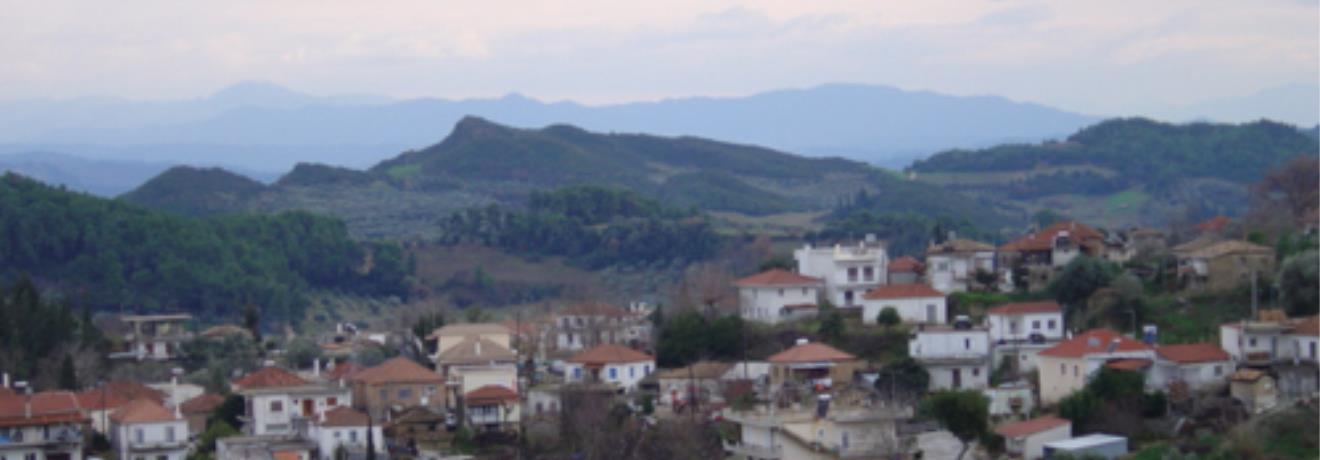 Γεράκι, άποψη