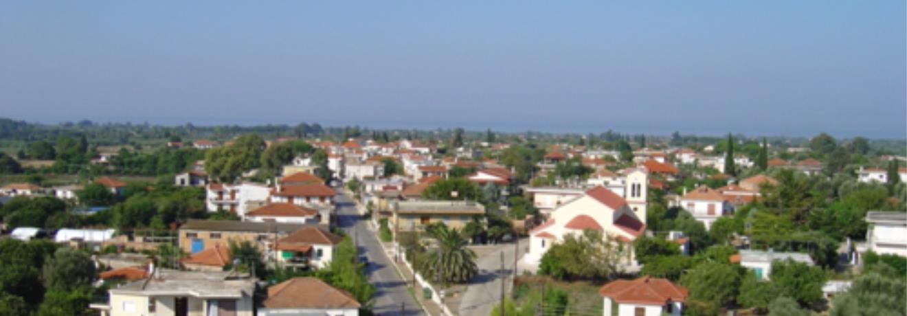 Καρδαμάς, άποψη