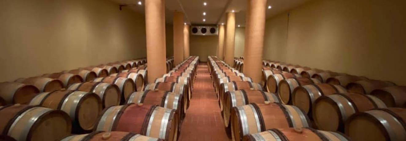Cellar